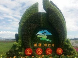 新疆哈巴河五色草造型