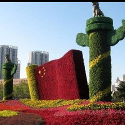 深圳五色草造型刷爆朋友圈