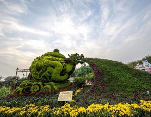 五色草造型