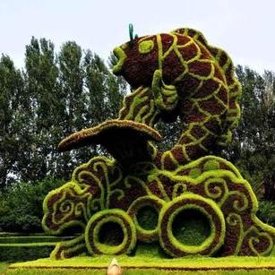 五色草